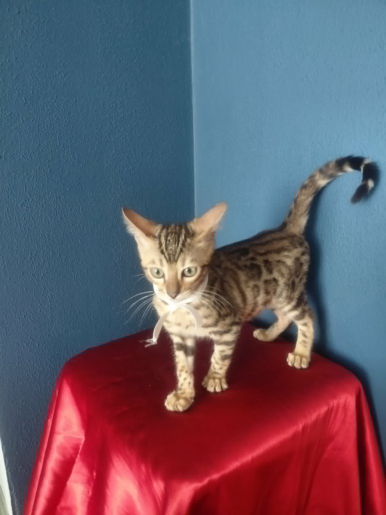 Baron