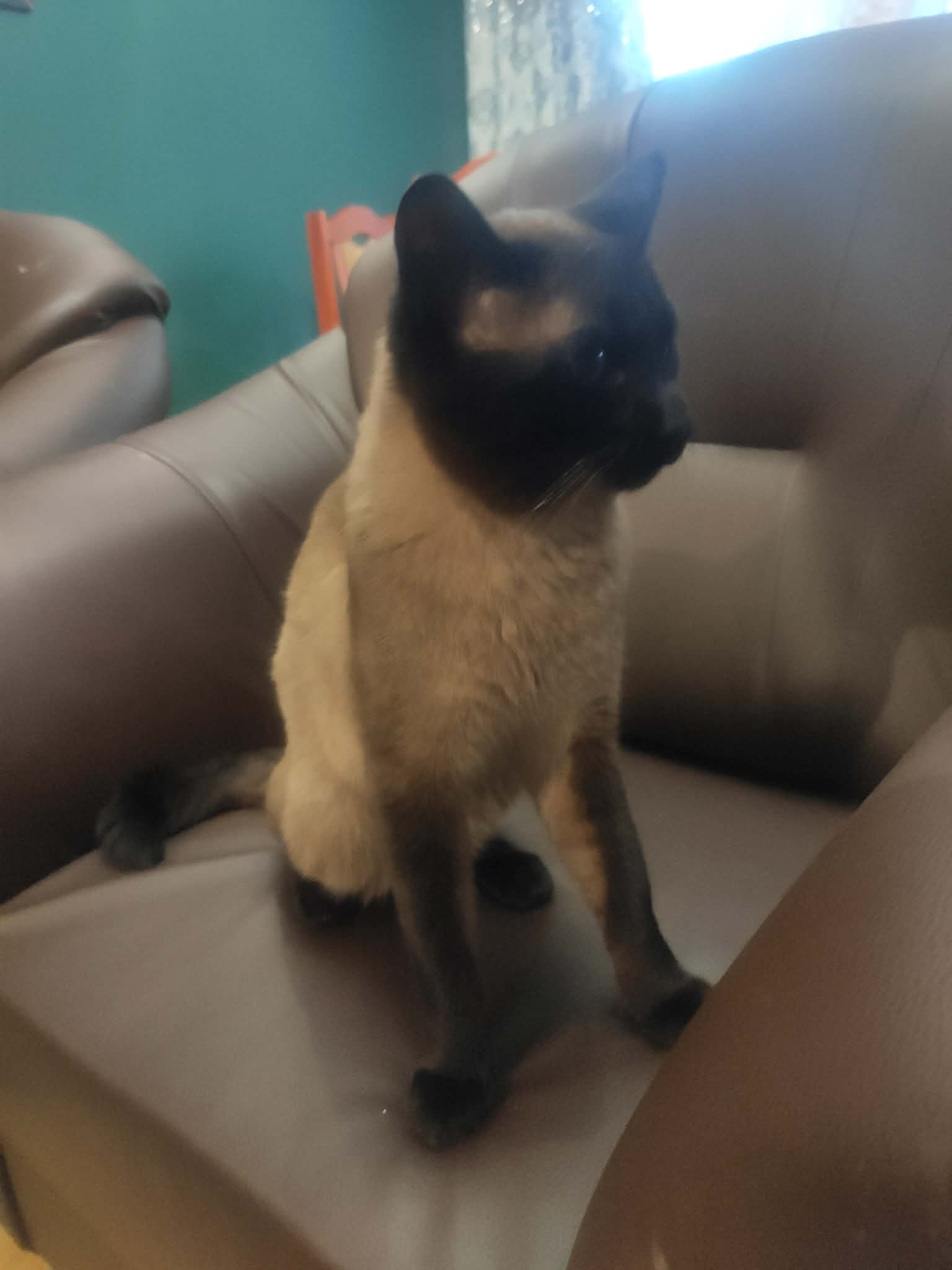 Baltazar