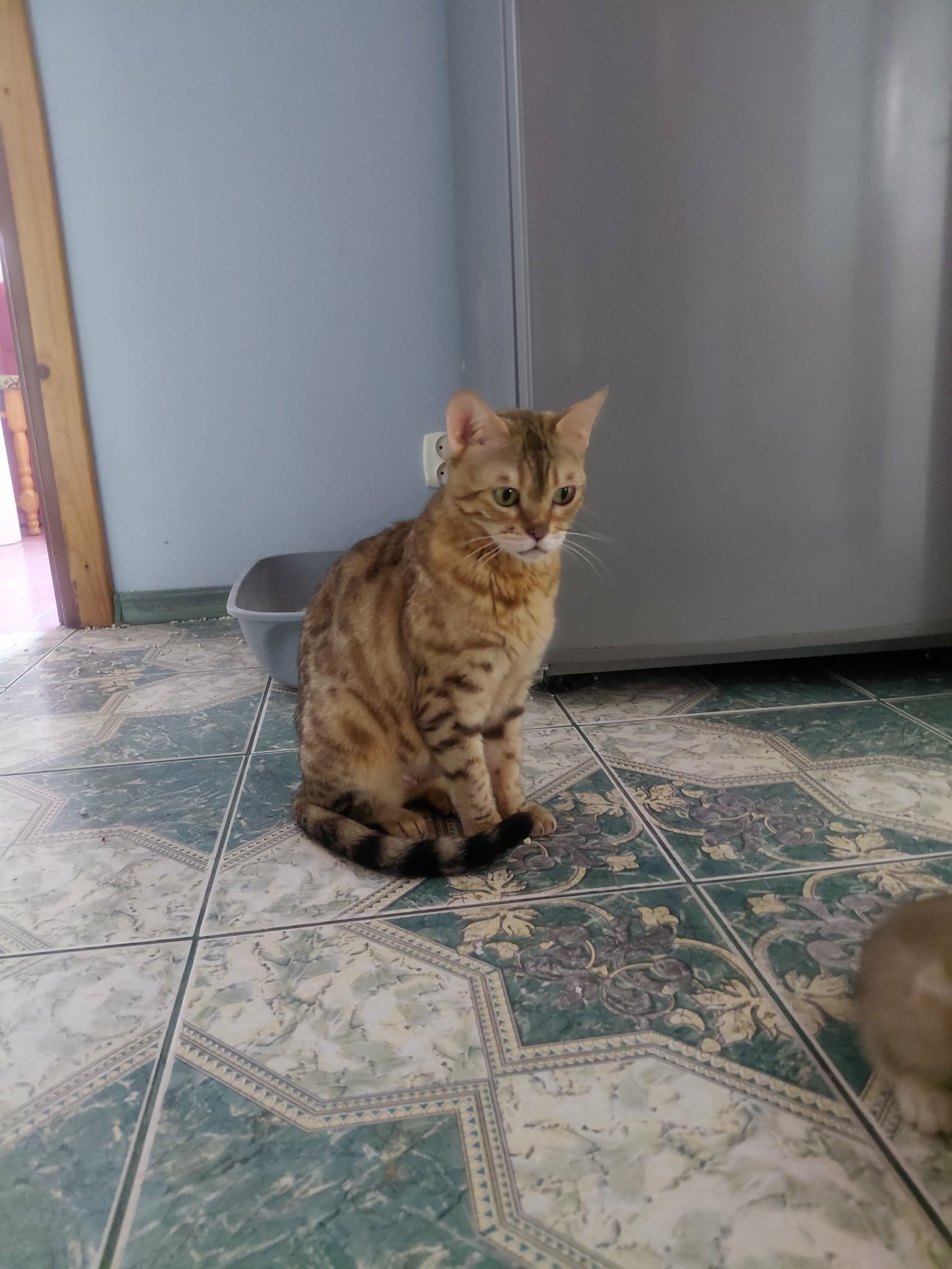 Luna